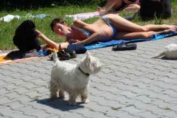 Resize of DSC04985.JPG